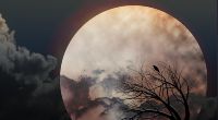Im März können Astronomiefans einen düsteren Krähenmond am Himmel sehen.
