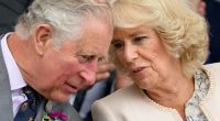 Prinz Charles und Camilla Parker Bowles haben keine gemeinsamen Kinder.