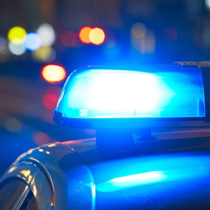 Mann ermordet seine Tochter (2) und seinen Sohn (1) Mann ermordet seine Tochter (2) und seinen Sohn (1) (Foto)