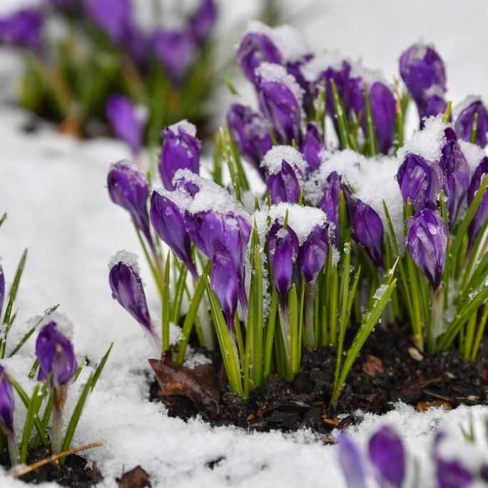 HIER schlägt der Winter nochmal richtig zu HIER schlägt der Winter nochmal richtig zu (Foto)