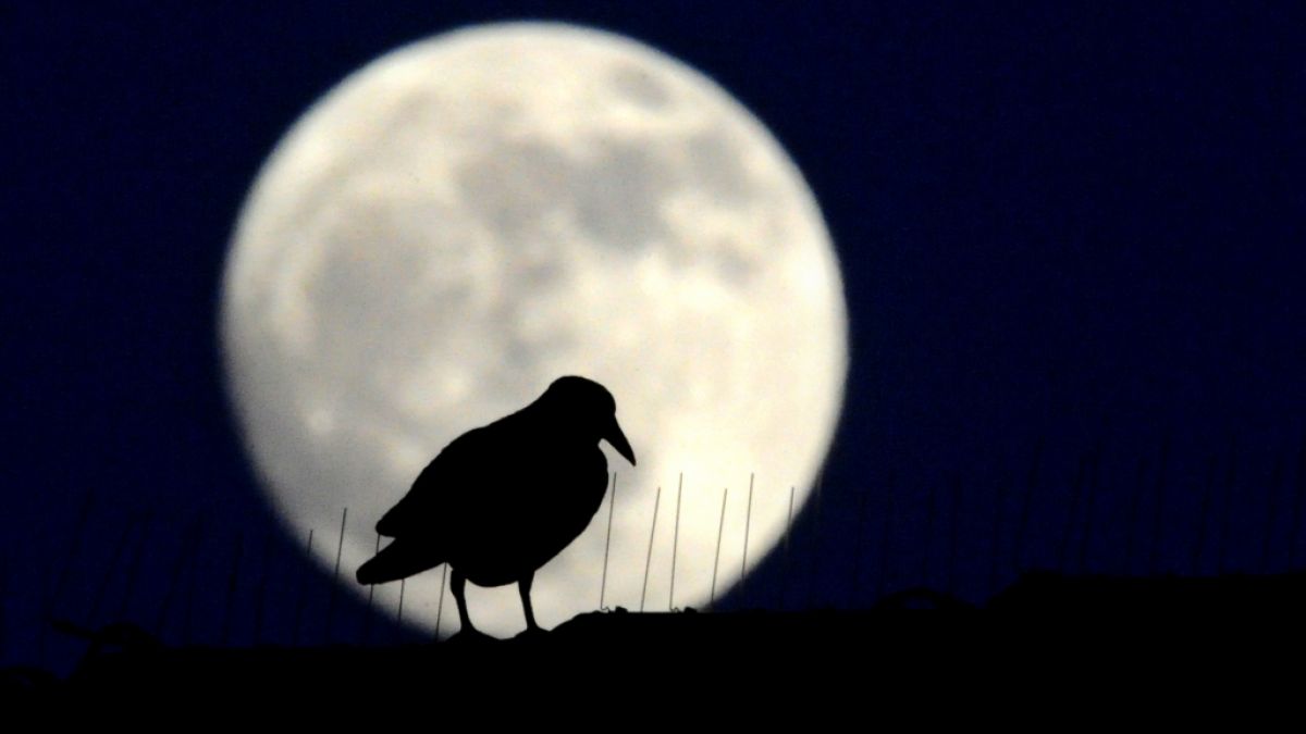 Im März erhellt der Krähenmond die Nacht. (Foto)
