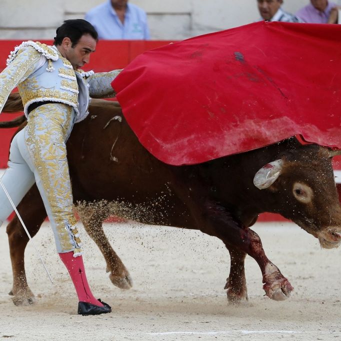 Dramatisches Video! Stierkämpfer lebendig aufgespießt