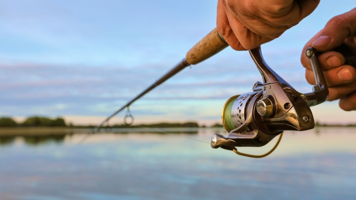 Angler machten eine unglaubliche Entdeckung. (Foto)