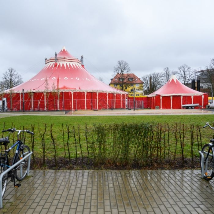 Manege frei!? Studenten müssen in Zirkuszelte umziehen Manege frei!? Studenten müssen in Zirkuszelte umziehen (Foto)