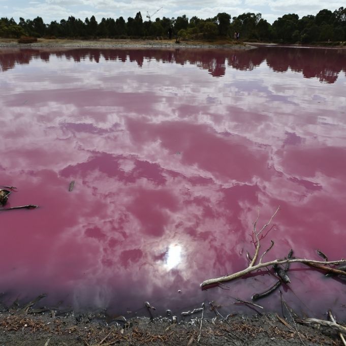 Knalliges Farbspektakel! DARUM ist dieser See pink Knalliges Farbspektakel! DARUM ist dieser See pink (Foto)