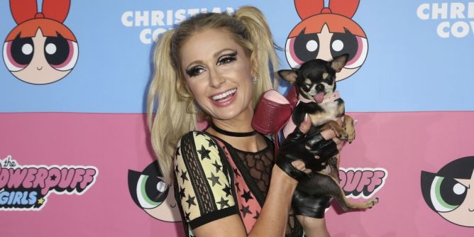 Christian Cowan privat