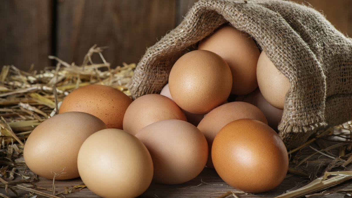 Ökotest hat Eier getestet. (Foto)