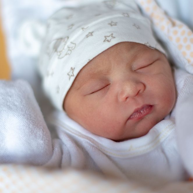 Schimmelpilz-Alarm! dm ruft Baby-Nahrung zurück Schimmelpilz-Alarm! dm ruft Baby-Nahrung zurück (Foto)
