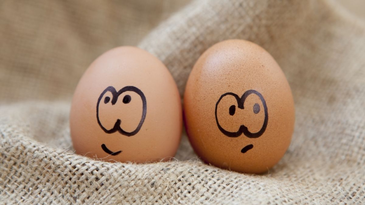 Wie ungesund sind Eier tatsächlich? (Foto)