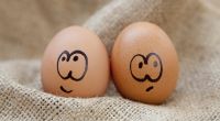 Wie ungesund sind Eier tatsächlich?