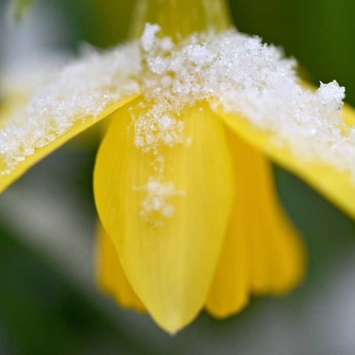 Schnee und Glätte! Kalte Kathi kühlt Deutschland kräftig runter Schnee und Glätte! Kalte Kathi kühlt Deutschland kräftig runter (Foto)