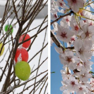 Hitze-Hammer zu Ostern? DAS prophezeien die Meteorologen Hitze-Hammer zu Ostern? DAS prophezeien die Meteorologen (Foto)