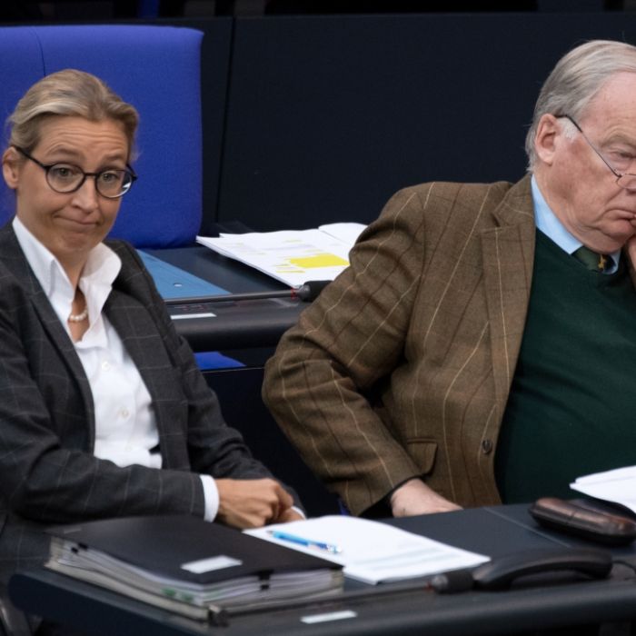Illegale Spenden! AfD muss über 400.000 Euro Strafe zahlen Illegale Spenden! AfD muss über 400.000 Euro Strafe zahlen (Foto)