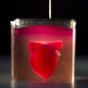 Erstes Herz aus 3D-Drucker
