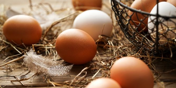 Mythos oder Wahrheit?