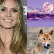 Vollmond News Aktuelle Nachrichten Zu Vollmond Aus 2020 News De