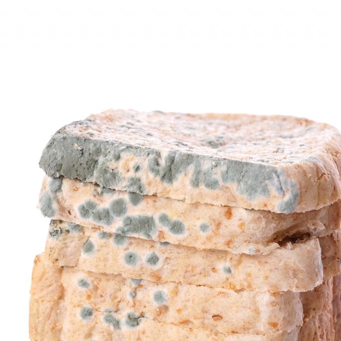 Gesundheitsgefahr! Netto ruft DIESES Sandwich zurück Gesundheitsgefahr! Netto ruft DIESES Sandwich zurück (Foto)