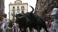 Immer wieder kommt es bei spanischen Stierkämpfen zu tödlichen Zwischenfällen. (Symbolbild)