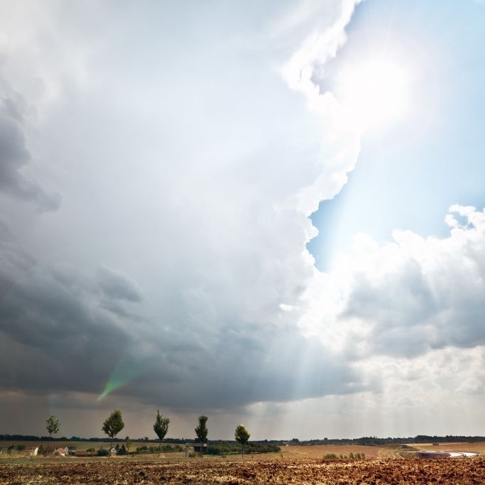 Wetter-Chaos! Deutschland zwischen Sonne und Neuschnee Wetter-Chaos! Deutschland zwischen Sonne und Neuschnee (Foto)