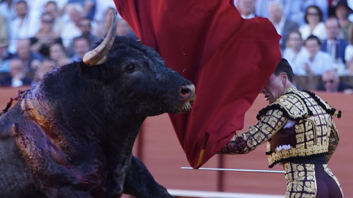 Ein Stierkämpfer schwingt ein Tuch in einer Stierkampfarena. (Foto)