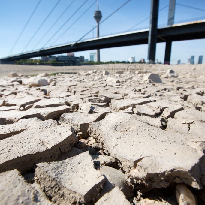 Extrem-Hitze und Unwetter-Chaos! Meteorologen warnen vor Horror-Sommer Extrem-Hitze und Unwetter-Chaos! Meteorologen warnen vor Horror-Sommer (Foto)
