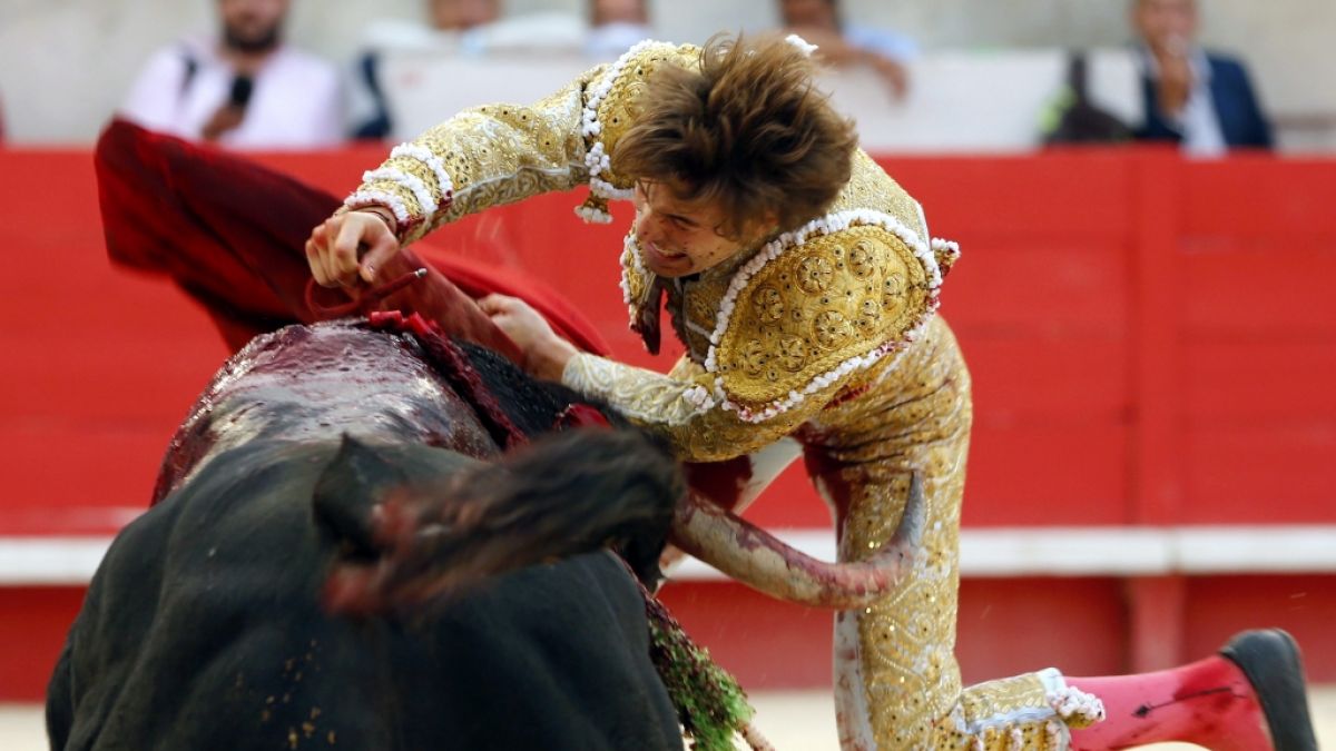 Juan Leal bei einem Stierkampf im Jahre 2014. (Foto)
