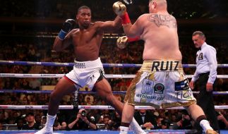 Anthony Joshua Privat So Entkam Der Box Champ Seiner Drogen Karriere Und Wurde Zum Weltmeister News De