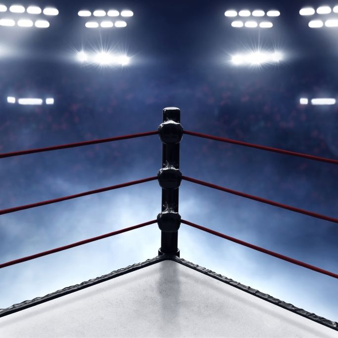 Wiederholung beim WWE Network: The Undertaker bezwingt Bill Goldberg! Wiederholung beim WWE Network: The Undertaker bezwingt Bill Goldberg! (Foto)