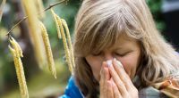 Allergien und ihre Auslöser