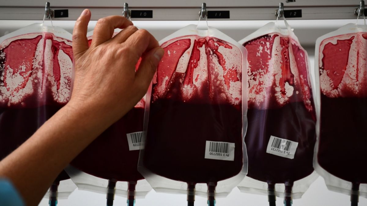 Wo auf der Welt gibt es für Blut die meisten Gegenleistungen? (Foto)
