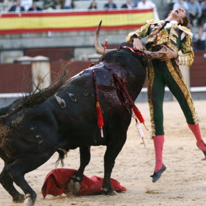 Skalpiert und aufgespießt! Die schlimmsten Horror-Unfälle beim Stierkampf (Foto)