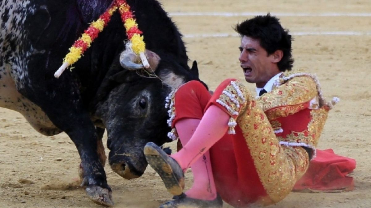 Der Torero Víctor Barrios starb beim Stierkampf. (Foto)