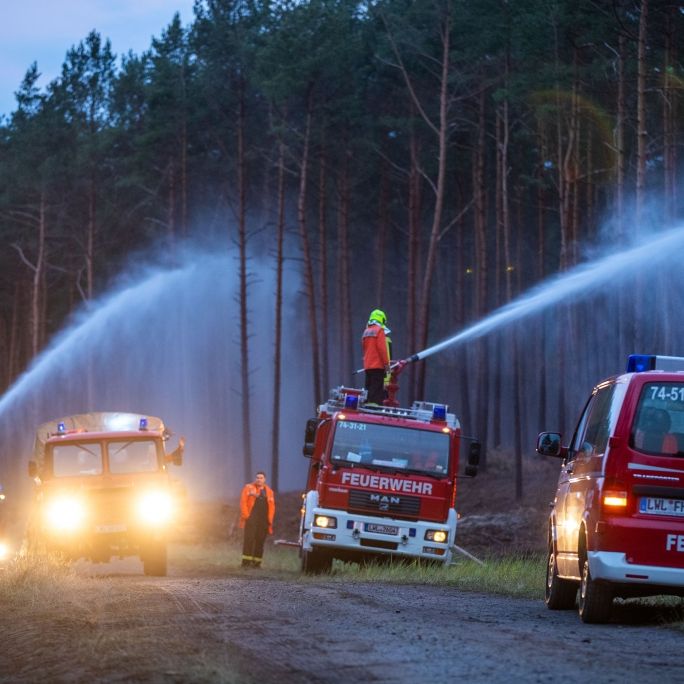 Feuer bei Lübtheen unter Kontrolle - keine offenen Feuer mehr erkennbar Feuer bei Lübtheen unter Kontrolle - keine offenen Feuer mehr erkennbar (Foto)