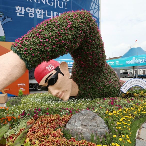 Die Finals der Schwimm-Wettbewerbe in Gwangju live sehen Die Finals der Schwimm-Wettbewerbe in Gwangju live sehen (Foto)