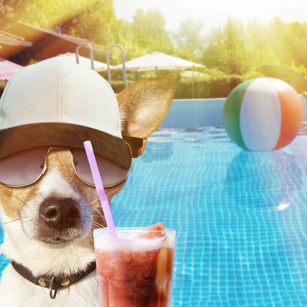 Hitze-Comeback mit 35 Grad! HIER wird es wieder Sommer! Hitze-Comeback mit 35 Grad! HIER wird es wieder Sommer! (Foto)