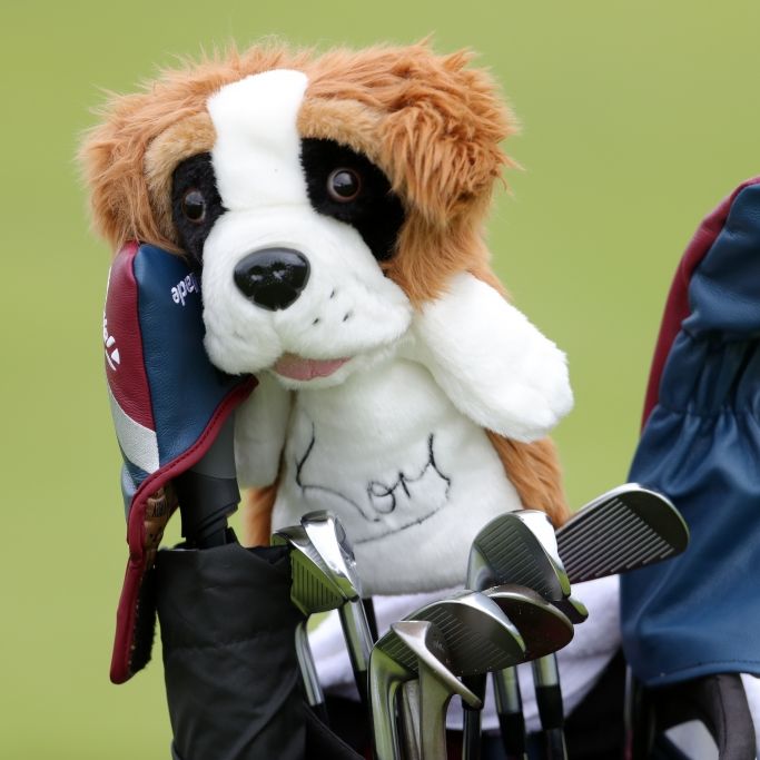 Ergebnisse aktuell - Shane Lowry gewinnt British Open 2019 Ergebnisse aktuell - Shane Lowry gewinnt British Open 2019 (Foto)