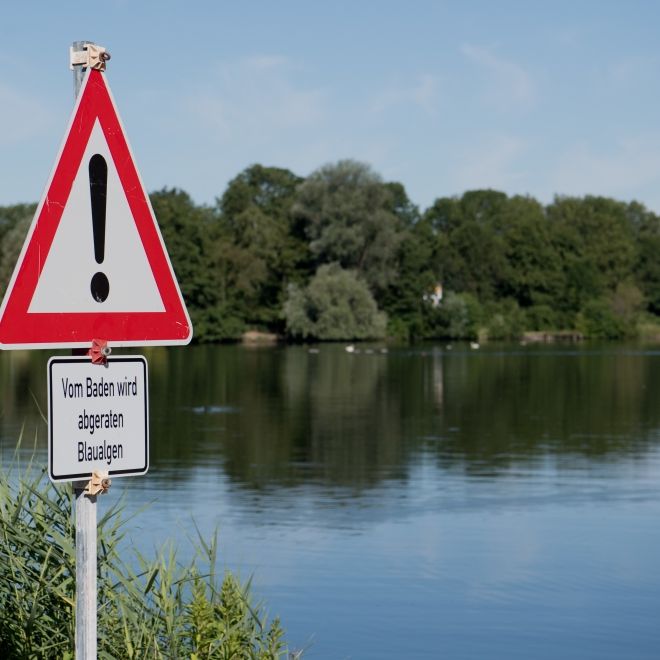 Ekelalarm im Badesee! So können Sie sich schützen Ekelalarm im Badesee! So können Sie sich schützen (Foto)