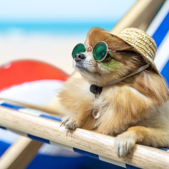 Achtung, 38 Grad erwartet! Hitzewelle kocht Deutschland Achtung, 38 Grad erwartet! Hitzewelle kocht Deutschland (Foto)
