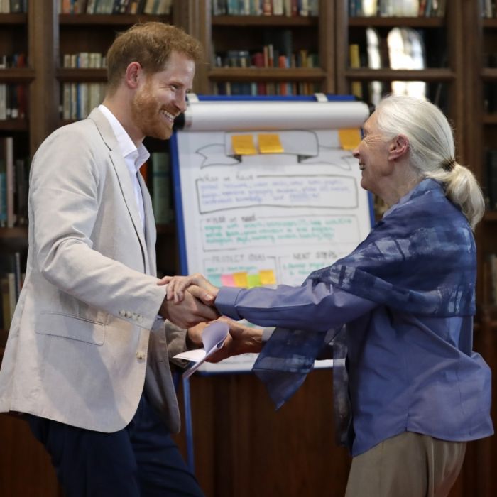 Verhaltensforscherin bei Baby Archie! Deshalb war SIE bei Herzogin Meghan zu Gast Verhaltensforscherin bei Baby Archie! Deshalb war SIE bei Herzogin Meghan zu Gast (Foto)