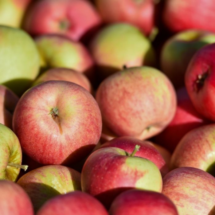 Obst als Keimschleuder? SO viele Bakterien stecken in Äpfeln Obst als Keimschleuder? SO viele Bakterien stecken in Äpfeln (Foto)