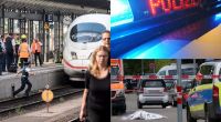 Nicht nur die tödliche Gleis-Attacke auf einen Achtjährigen am Frankfurter Hauptbahnhof, auf der brutale Schwert-Mord in Stuttgart-Fasanenhof schockierte in dieser Woche die Welt.