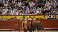 Nach zwei Jahren finden auf Mallorca wieder Stierkämpfe statt.