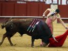 Ein altes Bild zeigt Paco Urena beim Stierkampf. (Foto)