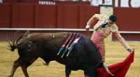Ein altes Bild zeigt Paco Urena beim Stierkampf.