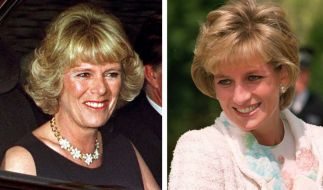 Prinzessin Diana Nach 22 Jahren Offenbart Das Wurde Bei Der Lady Di Beerdigung Verschwiegen News De