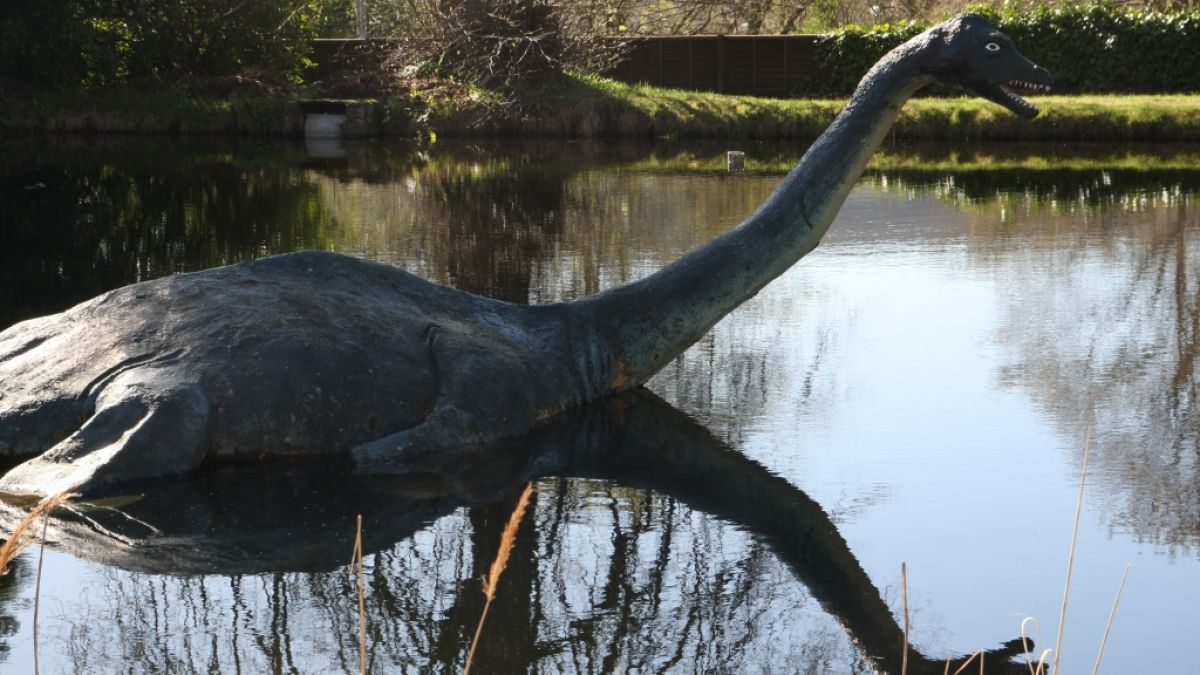 Haben Forscher das Rätsel um "Nessie", das legendäre Monster aus dem Loch Ness, gelöst? (Foto)