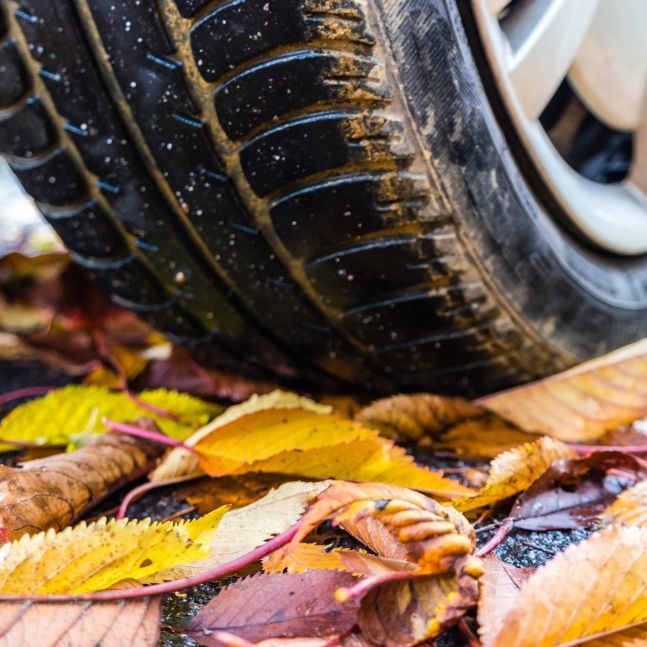 Mit DIESEN einfachen Tipps fahren Sie sicher bei Regen und Glätte Mit DIESEN einfachen Tipps fahren Sie sicher bei Regen und Glätte (Foto)