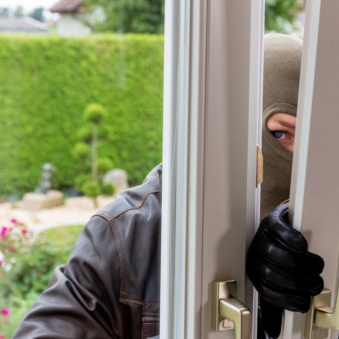 Kinderbande klaut Computertechnik und flieht vor der Polizei Kinderbande klaut Computertechnik und flieht vor der Polizei (Foto)