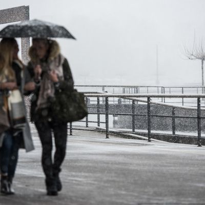 Schluss mit Sommertemperaturen! Experte rechnet in 2 Wochen mit SCHNEE Schluss mit Sommertemperaturen! Experte rechnet in 2 Wochen mit SCHNEE (Foto)