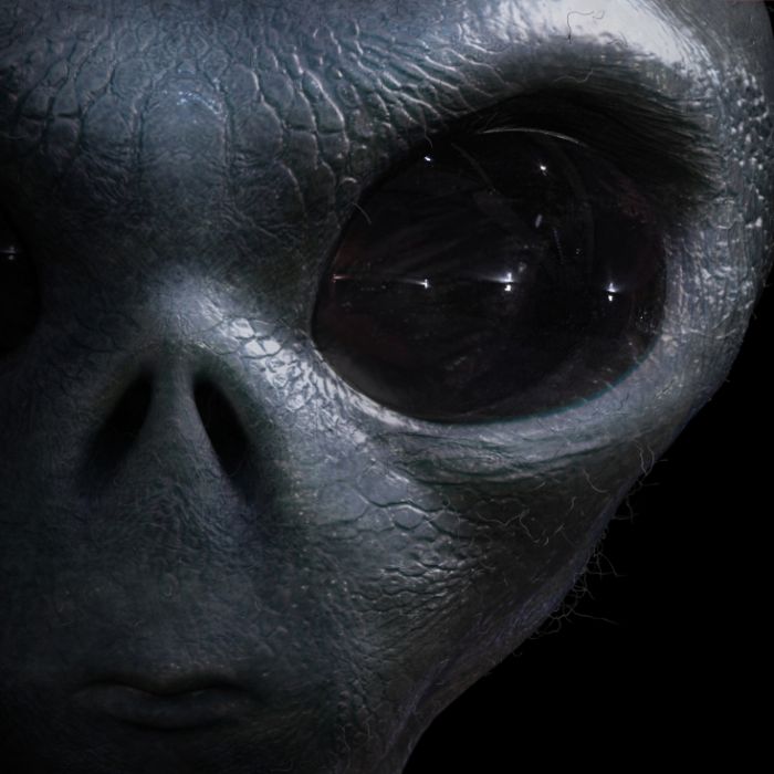 Worauf Sie beim Kauf von Alien sichtungen achten sollten